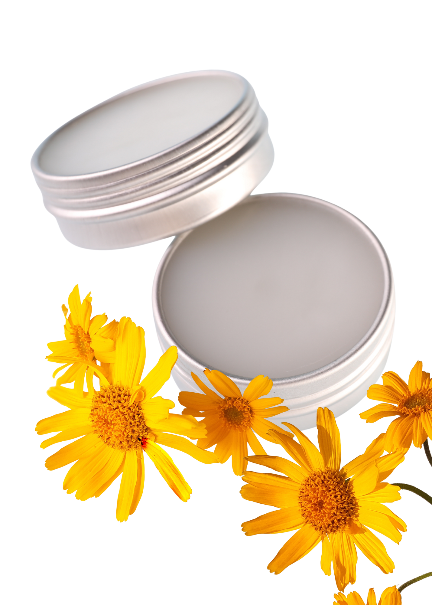 Wild Arnica Salve