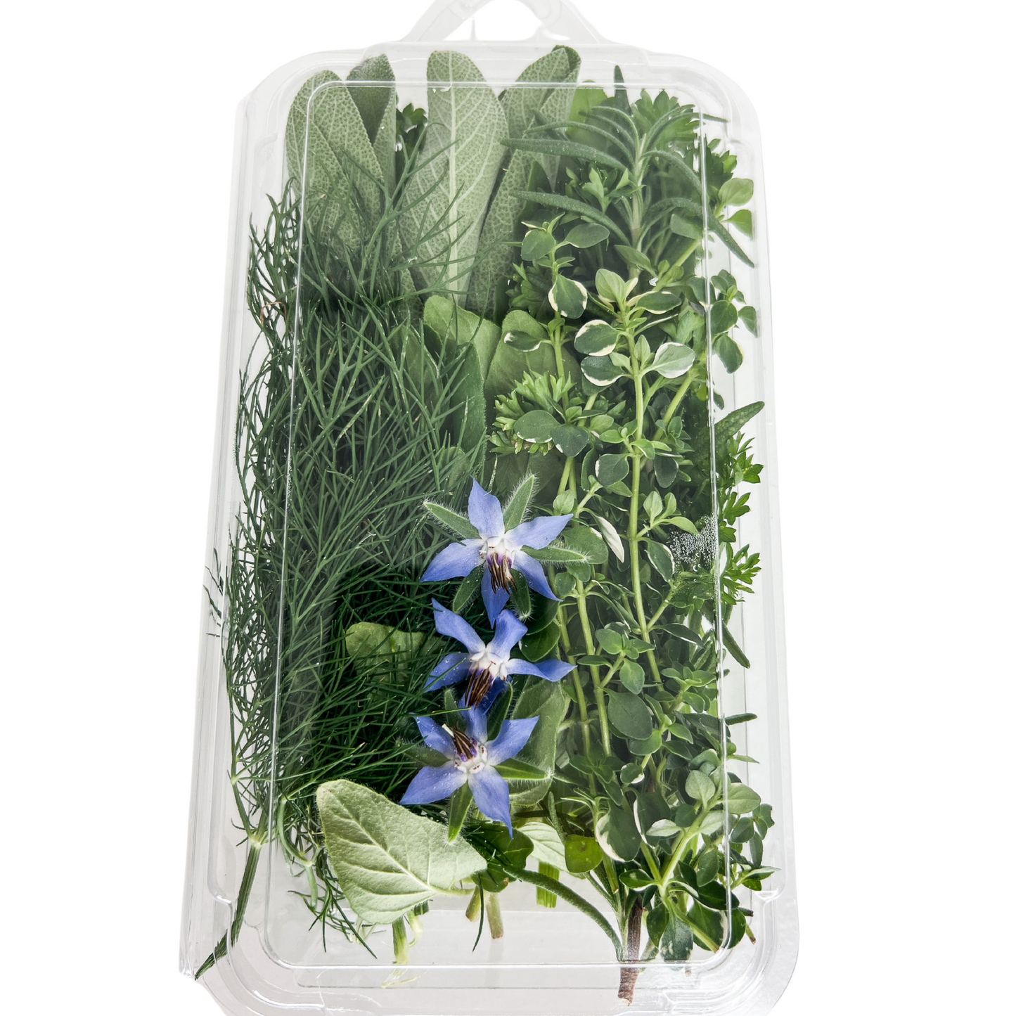 Fresh Herb Bundle