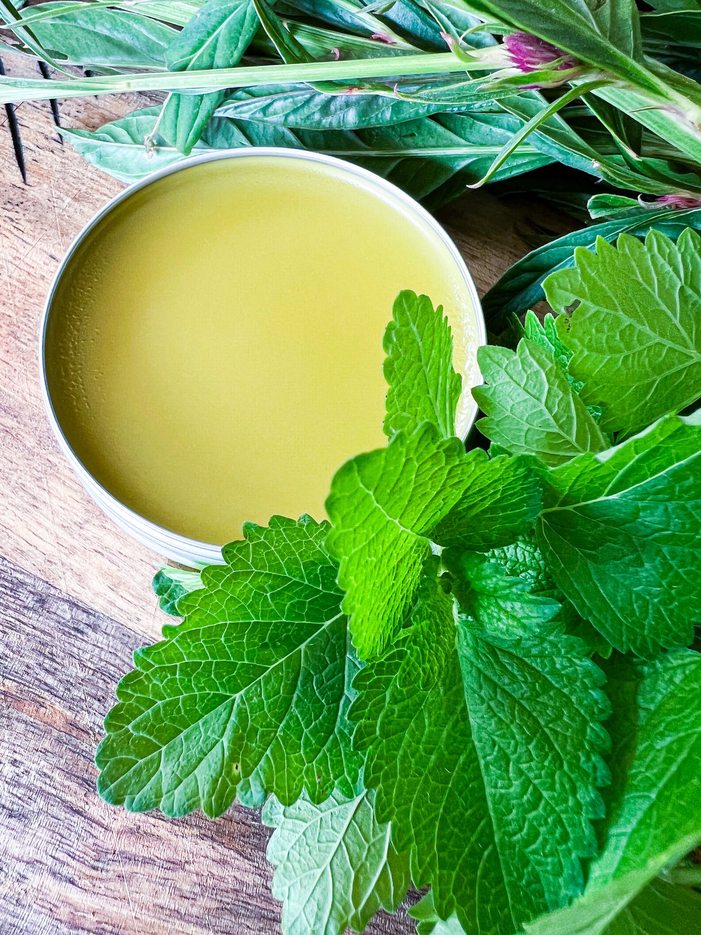 Lemonbalm Herbal Lip Repair