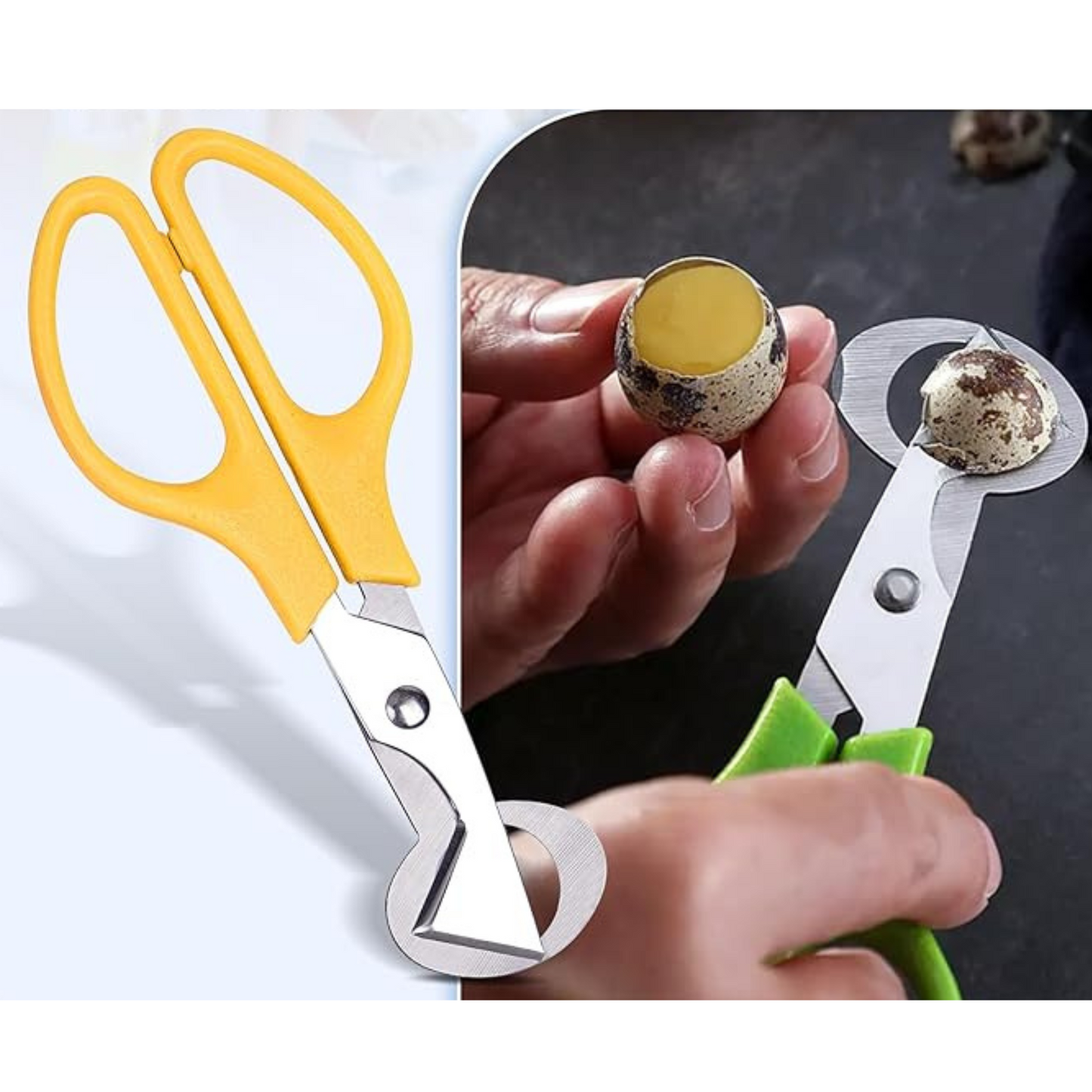 Stainless Quail Egg Scissors