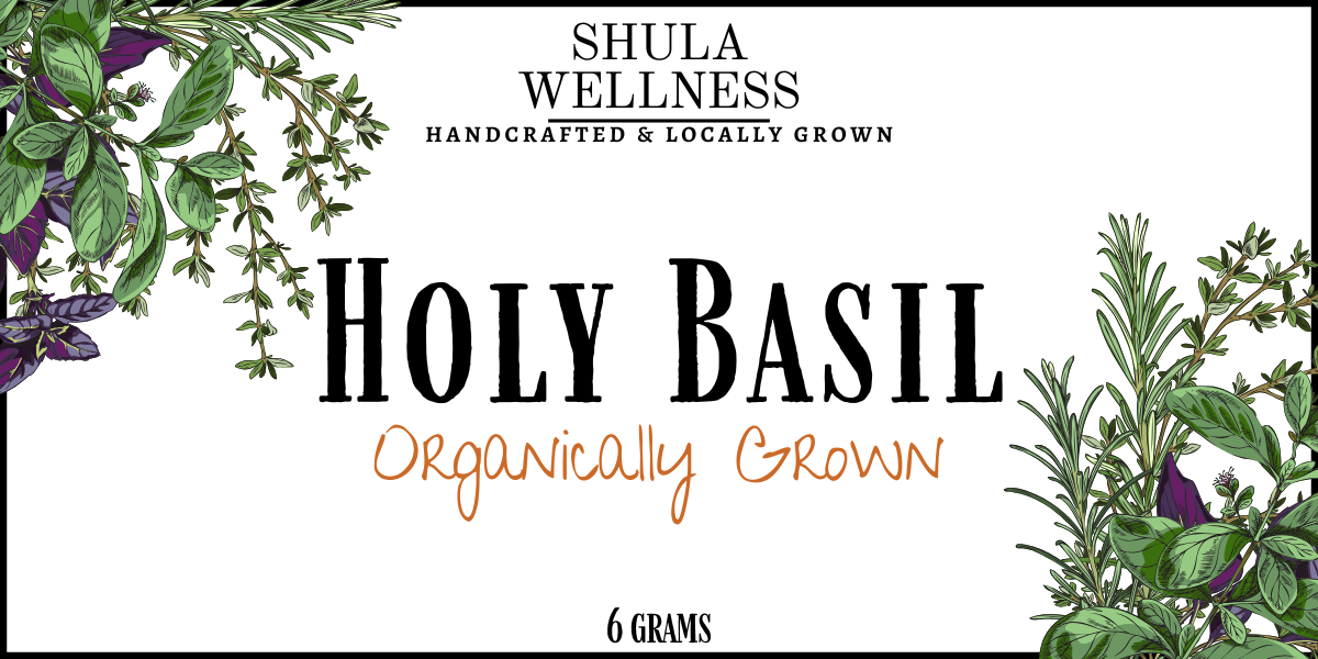 Holy Basil