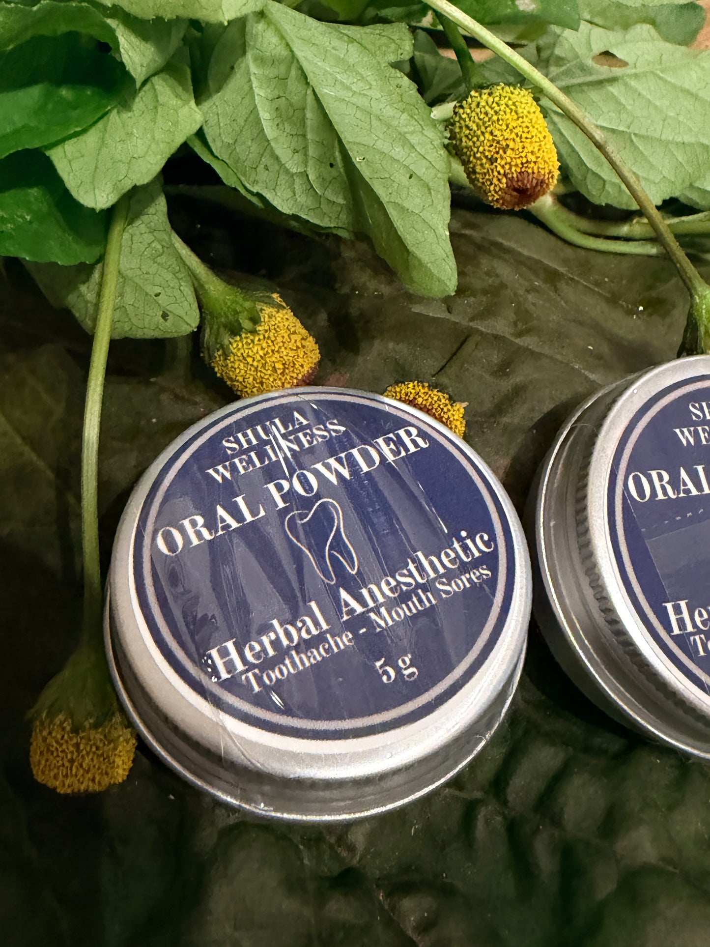 Oral Powder Herbal Anesthetic