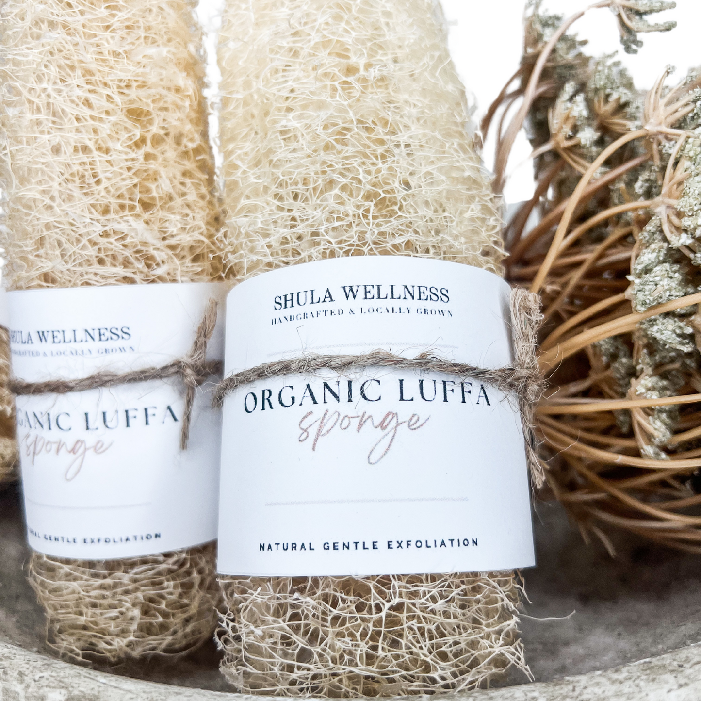 100% Natural Organic Luffa