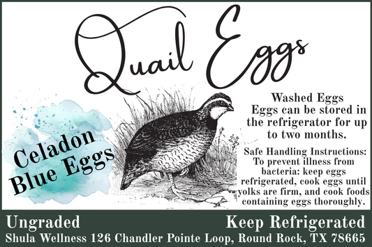 Blue Quail Eggs
